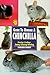 Guide to Owning a Chinchilla