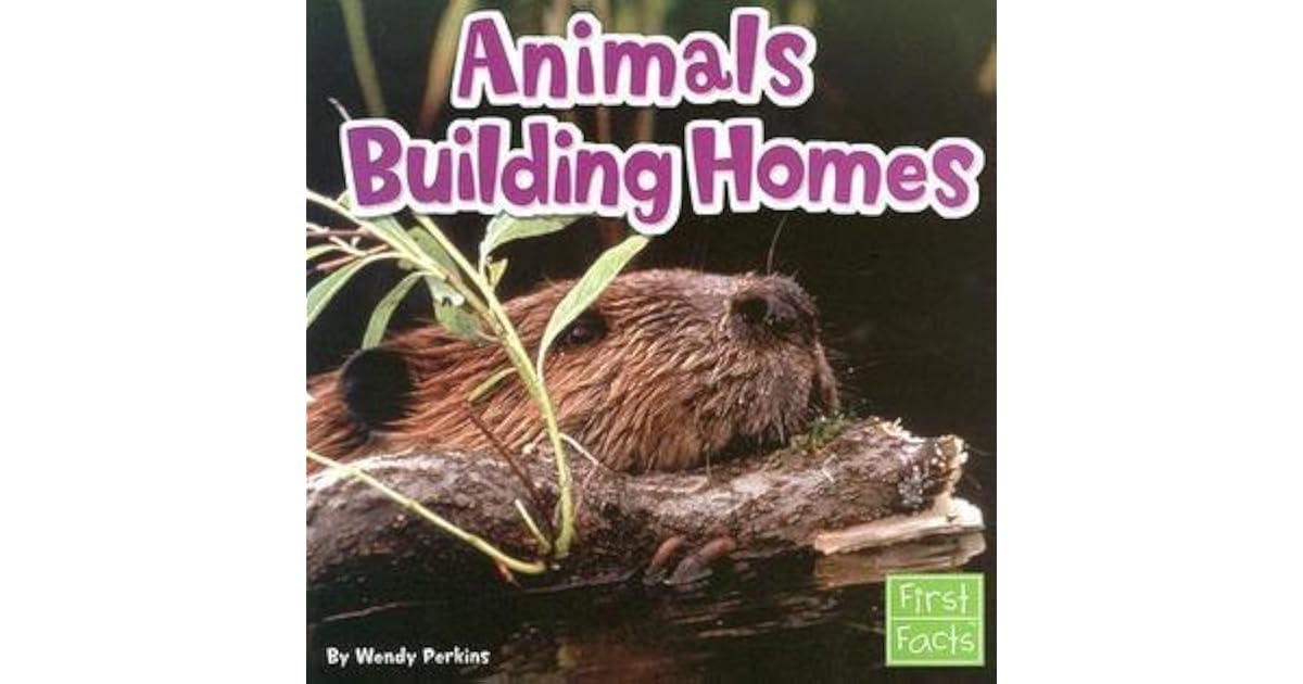 Animals Building Homes By Wendy Perkins