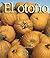 El Otono (Mi Primer Pasa Al Mundo Real: Las Estaciones Del Ano)