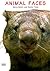 Animal Faces