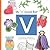 My V Sound Box (Sound Box Books)
