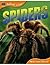 Spiders (Animal Lives)