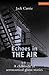 Echoes in the Air: A Chroni...