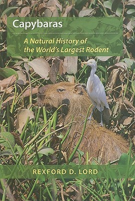 Capybaras: A Natural History of the World's Largest Rodent (Hardcover)