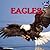 Eagles