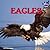 Eagles by Sara S. Miller