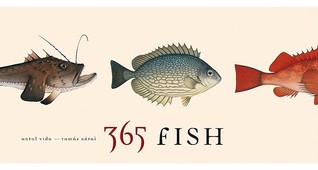 365 Fish (Paperback)