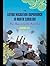 The Latino Migration Experience in North Carolina: New Roots in the Old North State