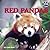 Red Pandas by Sara S. Miller
