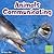 Animals Communicating by Xavier W. Niz