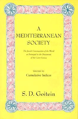A Mediterranean Society: The Jewish Communities of the Arab World as Portrayed in the Documents of the Cairo Geniza, Cumulative Indices (Near Eastern Center, UCLA) (Volume 6)