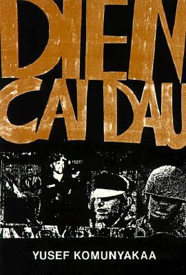 Dien Cai Dau (Paperback)