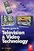 Newnes Guide to Television and Video Technology: The Guide for the Digital Age - from HDTV, DVD and flat-screen technologies to Multimedia Broadcasting, Mobile TV and Blu Ray