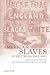 American Slaves in Victorian England by Audrey Fisch