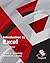 Introduction to Excel (4th Edition)