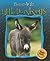 Little Donkeys