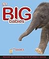 Big Babies, Little Babies by Lorrie Mack