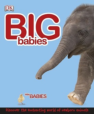 Big Babies, Little Babies: Discover the Enchanting World of Newborn Animals (Hardcover)
