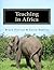 Teaching in Africa by Bruce Piercey