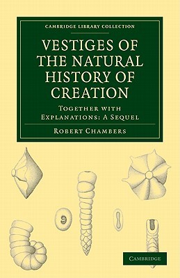 Vestiges of the Natural History of Creation, Together with Explanations: A Sequel (Paperback)
