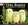 Owl babies by Martin Waddell