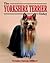 Yorkshire Terrier Today (Dog Breed Books)