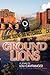 Ground Lions (Mike Amato #2)