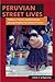 Peruvian Street Lives: Culture, Power, and Economy among Market Women of Cuzco (Interp Culture New Millennium)