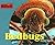 Bedbugs