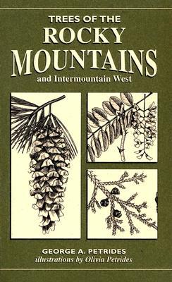 Trees Of The Rocky Mountains & Intermountain West (Paperback)