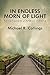 In Endless Morn of Light: Moral Freedom in Milton's Universe