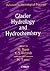 Glacier Hydrology and Hydrochemistry