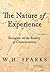 The Nature of Experience: Thoughts on the Reality of Consciousness