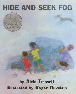 Hide and Seek Fog (Hardcover)