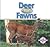 Deer Have Fawns (Animals and Their Young)