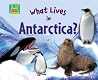 What Lives in Antarctica? (Animal Habitats) What Lives in Antarctica? (Animal Habitats)