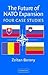 The Future of NATO Expansio...