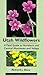 Utah Wildflowers: A Field Guide To Northern And Central Mountains And Valleys