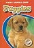 Puppies (Blastoff! Readers:...