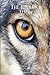 The Eyes of a Wolf