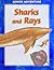 Sharks and Rays (Junior Adventure)