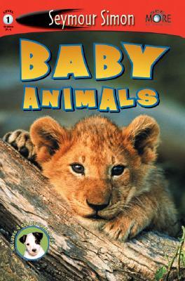 Baby Animals (Paperback)