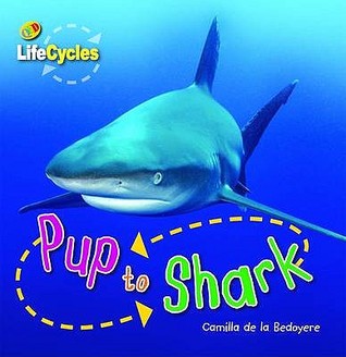 Pup to Shark (Paperback)