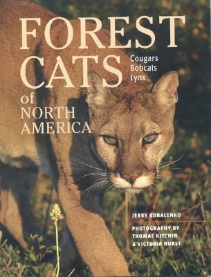 Forest Cats of North America (Paperback)