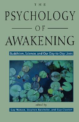 Psychology of Awakening: Buddhism, Science, and Our Day-To-Day Lives (Paperback)