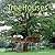Treehouses: Living a Dream