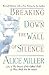 Breaking Down the Wall of Silence: The Liberating Experience of Facing Painful Truth
