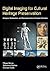 Digital Imaging for Cultural Heritage Preservation: Analysis, Restoration, and Reconstruction of Ancient Artworks (Digital Imaging and Computer Vision)
