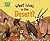 What Lives in the Desert (Animal Habitats)