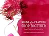 Birds of a Feather Shop Together: Aesop's Fables for the Fashionable Set Birds of a Feather Shop Together: Aesop's Fables for the Fashionable Set